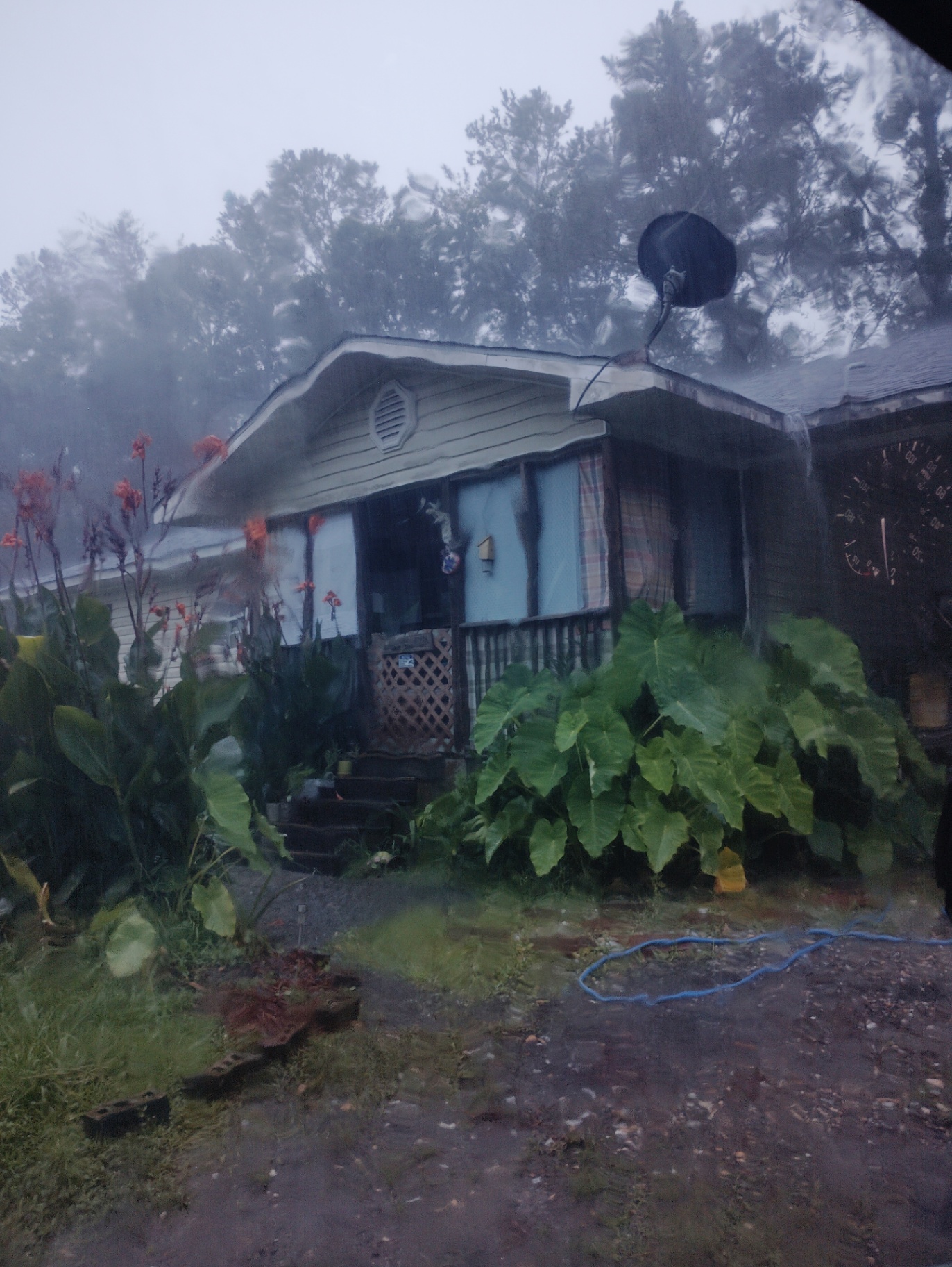 The Cat Nap Inn porch through a rain-streaked windshield, dashboard in the corner